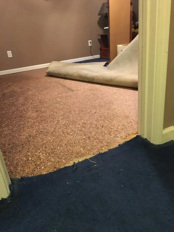Carpet pad removal revealing water damage during Drying & Dehumidification in North Stonington