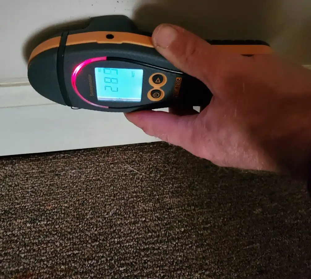 Moisture detection at baseboard during Sewage Cleanup & Sanitation in North Stonington