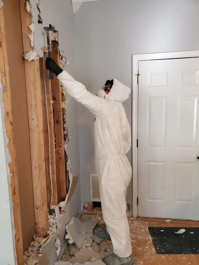 Mold Remediation & Removal in North Stonington, CT